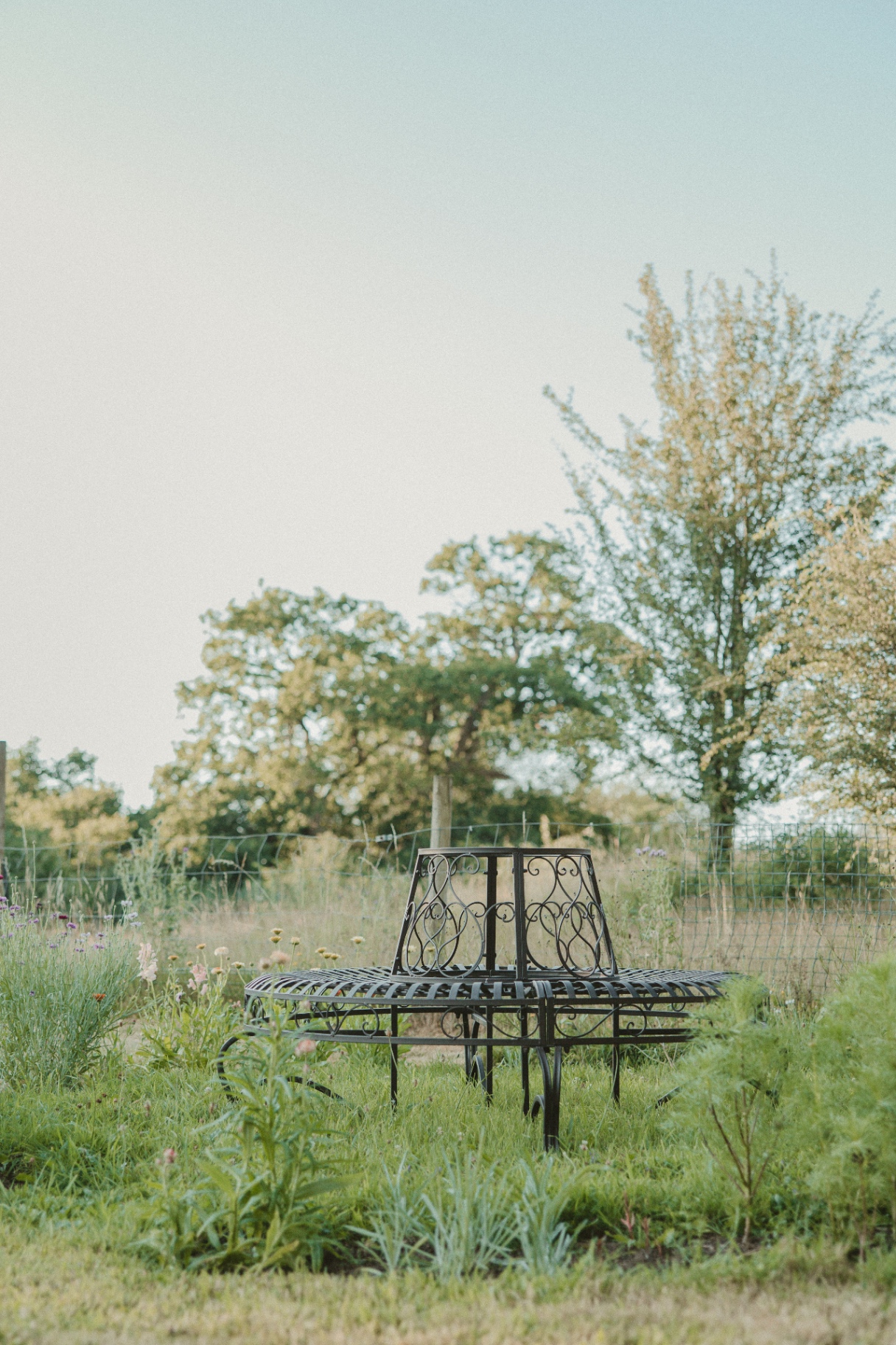 Wrought-iron circular tree bench among the cutting-garden flowers at Fallow Retreats