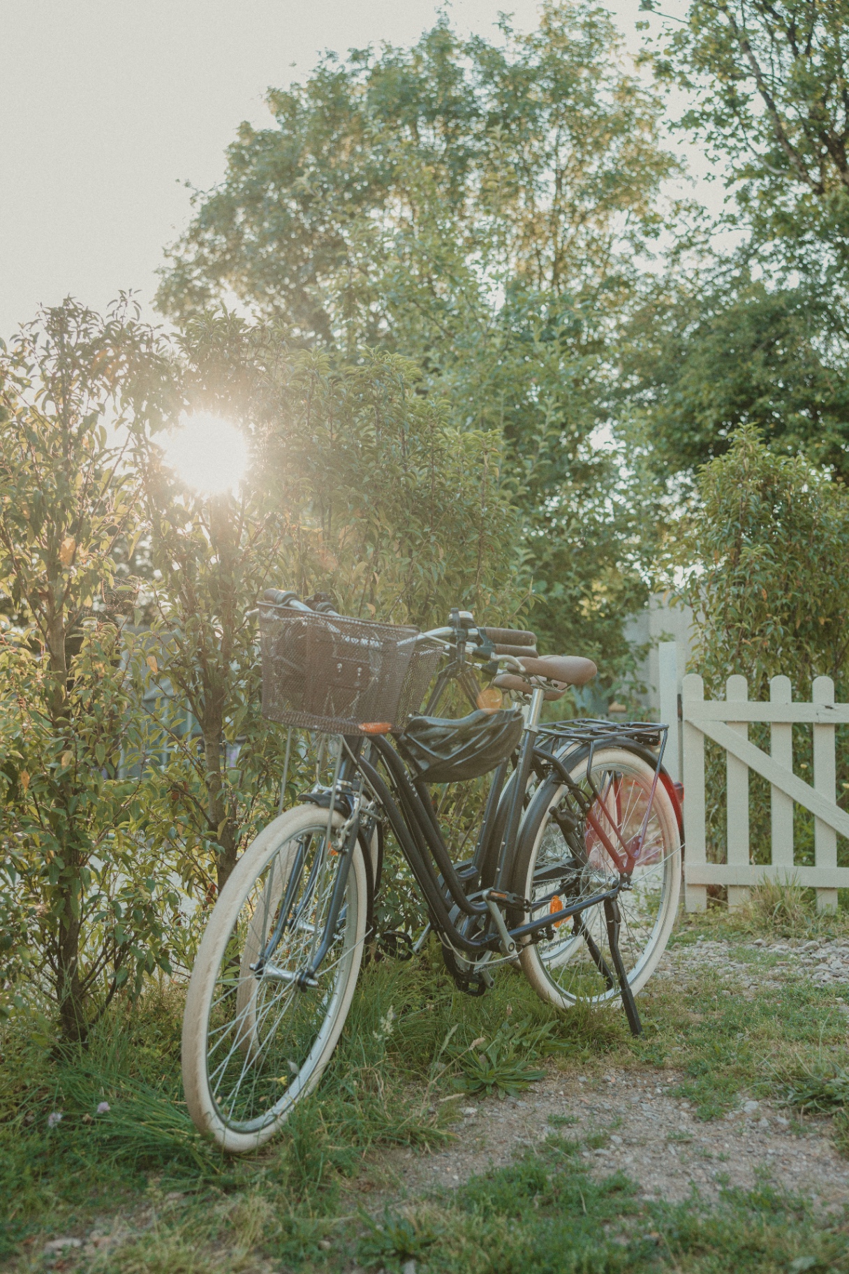 Two bicycles resting by a wooden gate at golden hour at Fallow Retreats