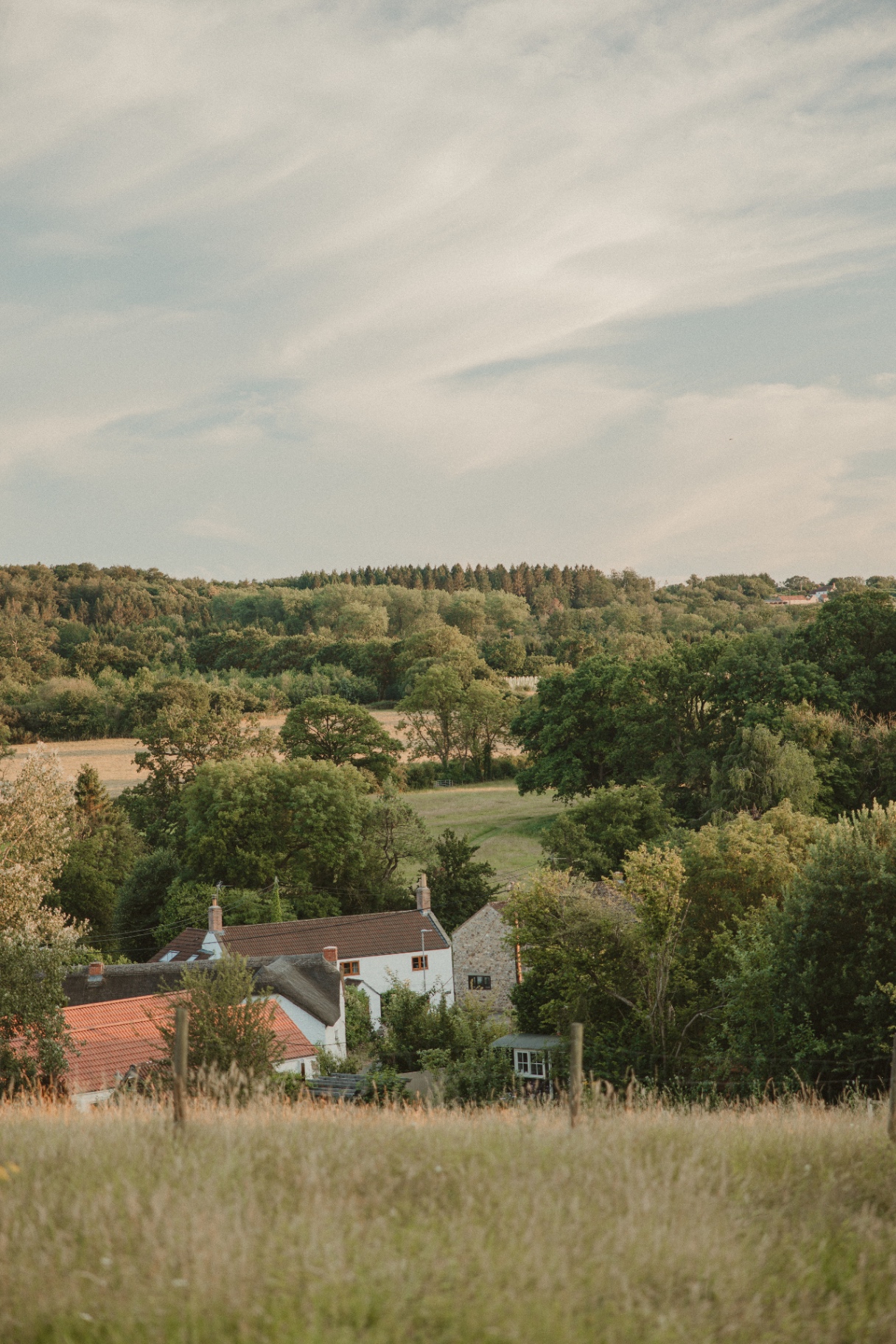 Willow - sweeping view across Somerset countryside from the hilltop