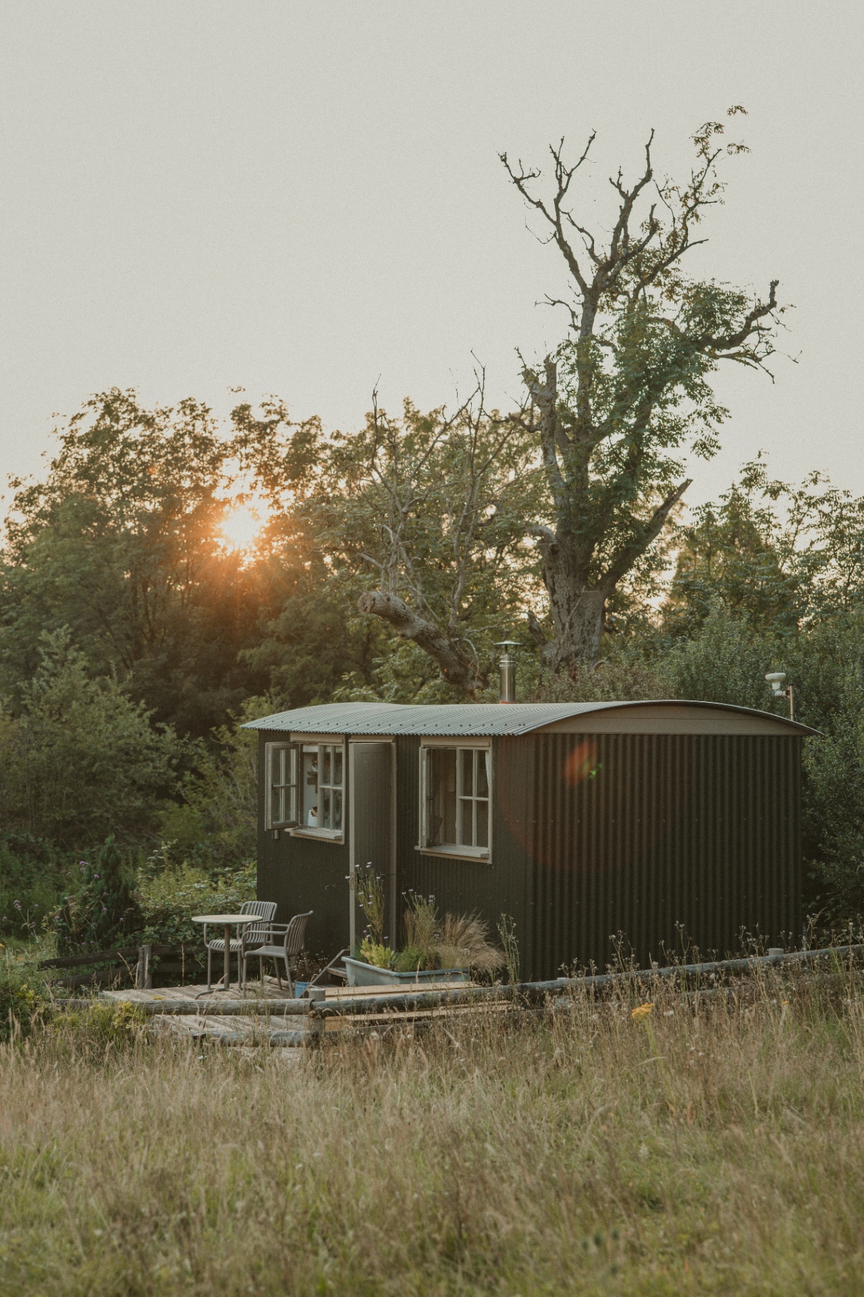 Willow - hut at golden hour beneath the old oak tree