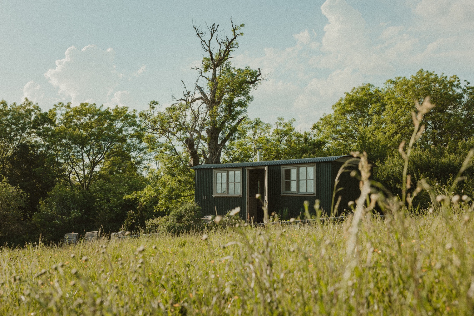 Willow - shepherd's hut in the meadow beneath the old tree