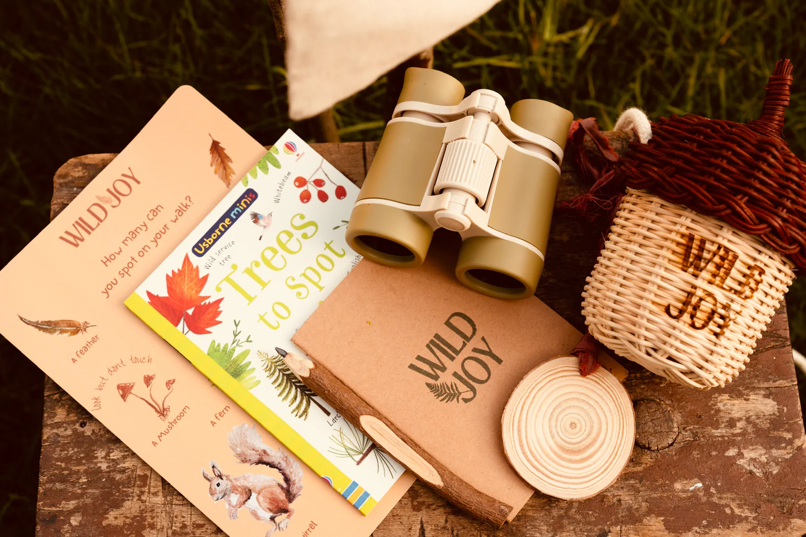 Wild Joy children's adventure pack with binoculars, foraging basket, pencils, journal and wooden dragonfly on a mossy log