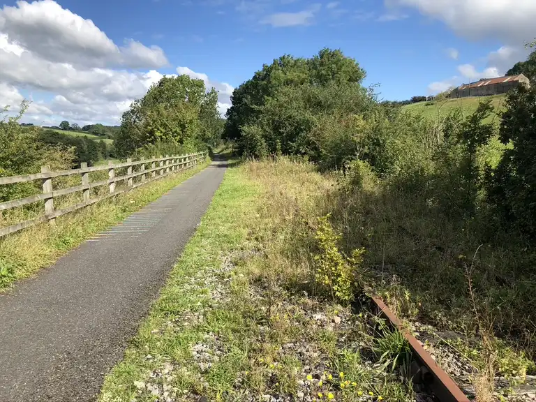 The Colliers Way