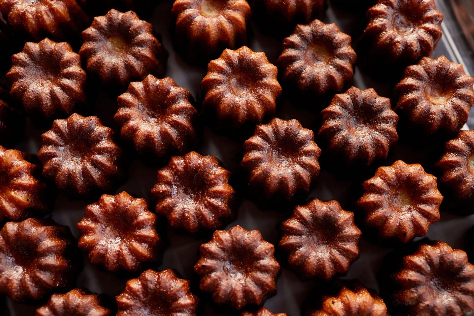 Farro Bakery, Bristol